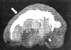 Иллюстрация к книге — Измените свой мозг - изменится и жизнь! [i_056.jpg]