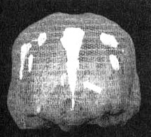 Иллюстрация к книге — Измените свой мозг - изменится и жизнь! [i_058.jpg]