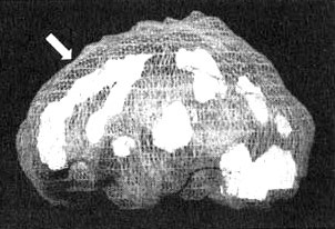 Иллюстрация к книге — Измените свой мозг - изменится и жизнь! [i_059.jpg]