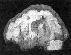 Иллюстрация к книге — Измените свой мозг - изменится и жизнь! [i_063.jpg]