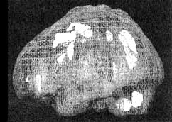 Иллюстрация к книге — Измените свой мозг - изменится и жизнь! [i_064.jpg]