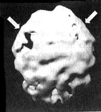 Иллюстрация к книге — Измените свой мозг - изменится и жизнь! [i_077.jpg]