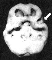 Иллюстрация к книге — Измените свой мозг - изменится и жизнь! [i_084.jpg]