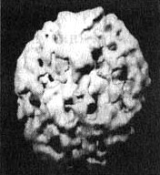 Иллюстрация к книге — Измените свой мозг - изменится и жизнь! [i_085.jpg]