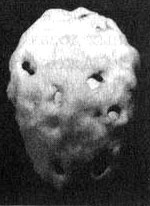 Иллюстрация к книге — Измените свой мозг - изменится и жизнь! [i_087.jpg]