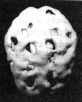 Иллюстрация к книге — Измените свой мозг - изменится и жизнь! [i_088.jpg]