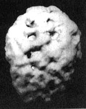 Иллюстрация к книге — Измените свой мозг - изменится и жизнь! [i_090.jpg]