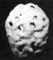 Иллюстрация к книге — Измените свой мозг - изменится и жизнь! [i_100.jpg]