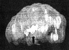 Иллюстрация к книге — Измените свой мозг - изменится и жизнь! [i_106.jpg]