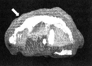 Иллюстрация к книге — Измените свой мозг - изменится и жизнь! [i_109.jpg]