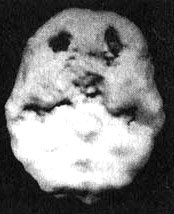 Иллюстрация к книге — Измените свой мозг - изменится и жизнь! [i_110.jpg]