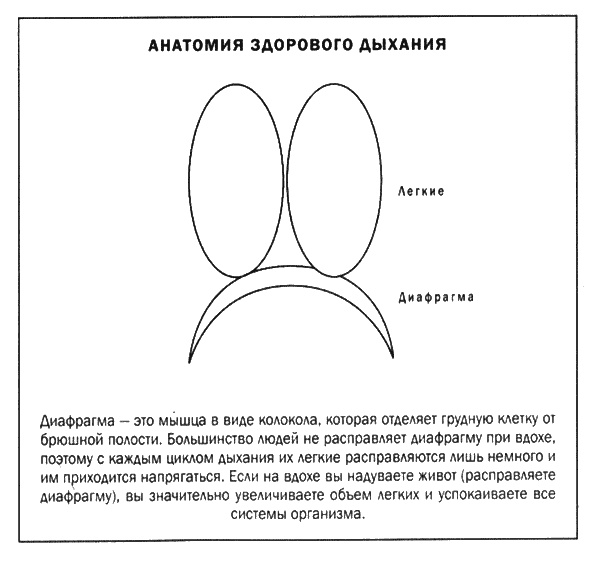 Иллюстрация к книге — Мозг и душа. Новые открытия о влиянии мозга на характер, чувства, эмоции [i_038.jpg]