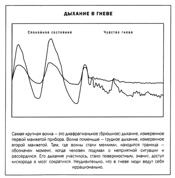 Иллюстрация к книге — Мозг и душа. Новые открытия о влиянии мозга на характер, чувства, эмоции [i_040.jpg]