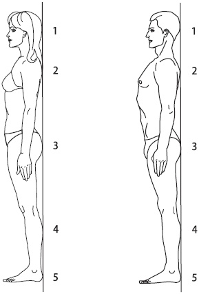 Иллюстрация к книге — 3 лучшие системы от боли в спине [i_007.jpg]