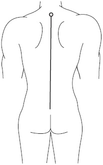 Иллюстрация к книге — 3 лучшие системы от боли в спине [i_008.jpg]