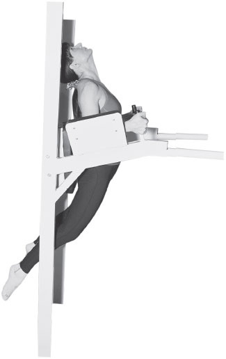 Иллюстрация к книге — 3 лучшие системы от боли в спине [i_223.jpg]