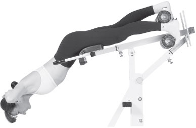 Иллюстрация к книге — 3 лучшие системы от боли в спине [i_234.jpg]