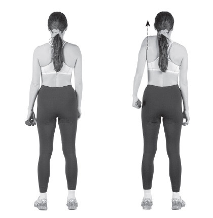 Иллюстрация к книге — Ваш здоровый позвоночник [i_044.jpg]