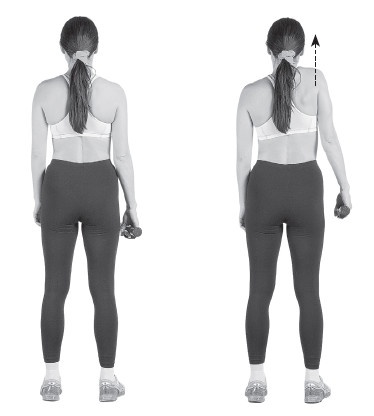 Иллюстрация к книге — Ваш здоровый позвоночник [i_071.jpg]