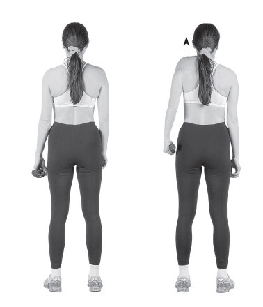 Иллюстрация к книге — Ваш здоровый позвоночник [i_098.jpg]