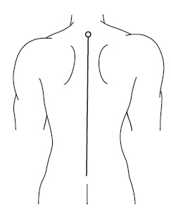 Иллюстрация к книге — Жизнь без боли в пояснице [i_007.jpg]