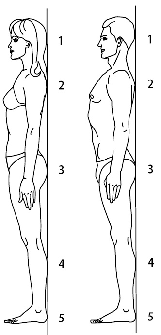 Иллюстрация к книге — Жизнь без боли в шее [i_006.jpg]