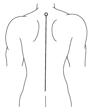 Иллюстрация к книге — Жизнь без боли в шее [i_007.jpg]