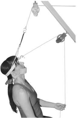 Иллюстрация к книге — Жизнь без боли в шее [i_039.jpg]