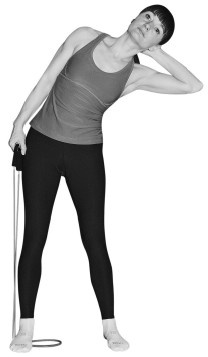 Иллюстрация к книге — Лечим спину от грыж и протрузий [i_038.jpg]