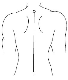 Иллюстрация к книге — Лечим спину от остеохондроза [i_003.jpg]