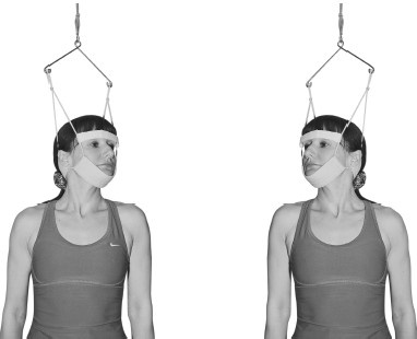 Иллюстрация к книге — Лечим спину от остеохондроза [i_012.jpg]