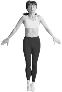 Иллюстрация к книге — Лечим спину от остеохондроза [i_017.jpg]