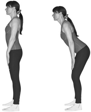 Иллюстрация к книге — Лечим спину от остеохондроза [i_020.jpg]