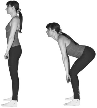 Иллюстрация к книге — Лечим спину от остеохондроза [i_038.jpg]