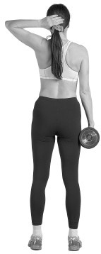 Иллюстрация к книге — Лечим спину от остеохондроза [i_055.jpg]