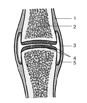 Иллюстрация к книге — Миорелаксация от боли в коленях и руках [Autogen_eBook_id0.jpg]