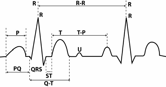 Иллюстрация к книге — Детское сердечко [i_003.jpg]