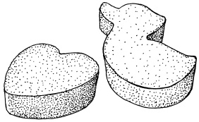 Иллюстрация к книге — 20+. Уход за телом [i_011.jpg]