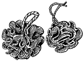 Иллюстрация к книге — 20+. Уход за телом [i_012.jpg]