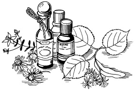 Иллюстрация к книге — 20+. Уход за телом [i_015.jpg]