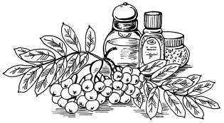 Иллюстрация к книге — 20+. Уход за телом [i_016.jpg]