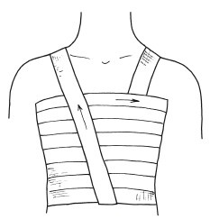 Иллюстрация к книге — Справочник медсестры [i_006.jpg]
