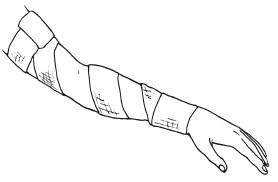 Иллюстрация к книге — Справочник медсестры [i_008.jpg]