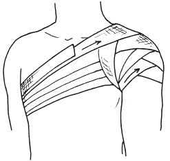 Иллюстрация к книге — Справочник медсестры [i_010.jpg]