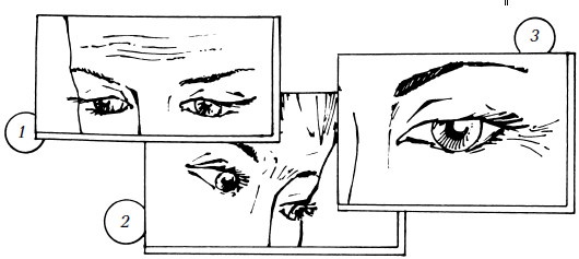 Иллюстрация к книге — Уход за лицом. Краткая энциклопедия [i_079.jpg]