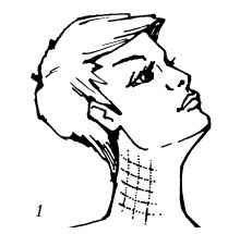 Иллюстрация к книге — Уход за лицом. Краткая энциклопедия [i_087.jpg]