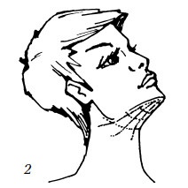 Иллюстрация к книге — Уход за лицом. Краткая энциклопедия [i_088.jpg]