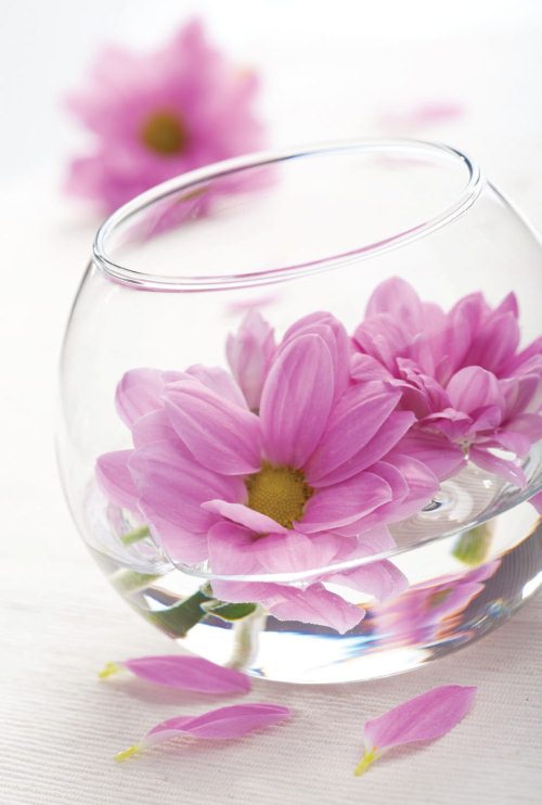 Иллюстрация к книге — Уход за лицом. Краткая энциклопедия [i_096.jpg]