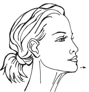 Иллюстрация к книге — 40+. Уход за лицом [Autogen_eBook_id66.jpg]