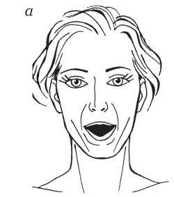 Иллюстрация к книге — 40+. Уход за лицом [Autogen_eBook_id79.jpg]